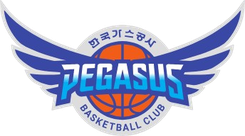 大邱石油公社飞马 vs 蔚山现代太阳神