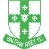 沃尔萨姆阿比 vs 克罗伊登