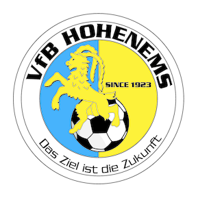 霍亨恩姆斯 vs FC 库夫施泰因