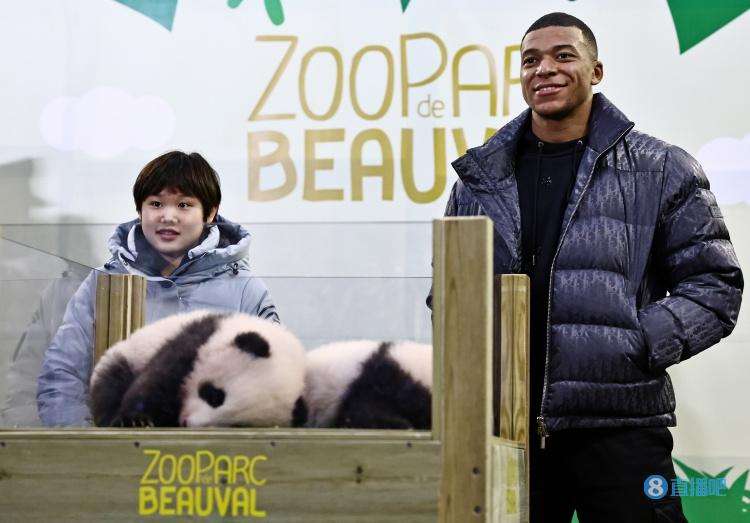 wnba直播_wnba免费直播在线直播_wnba免费无插件直播